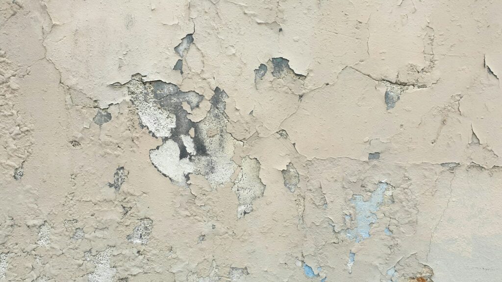This is the definitive guide on removing paint off windows.