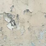 This is the definitive guide on removing paint off windows.