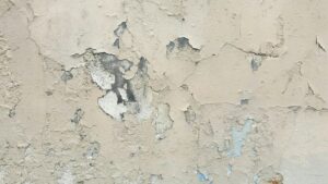 This is the definitive guide on removing paint off windows.