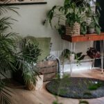 Great Plant Decor Ideas