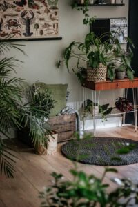 Great Plant Decor Ideas