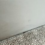 Possible Solutions to Squeaky Floors and Doors in a Hurry