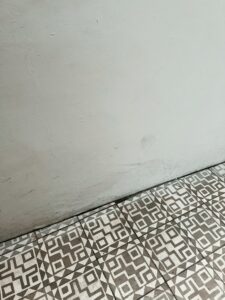 Possible Solutions to Squeaky Floors and Doors in a Hurry