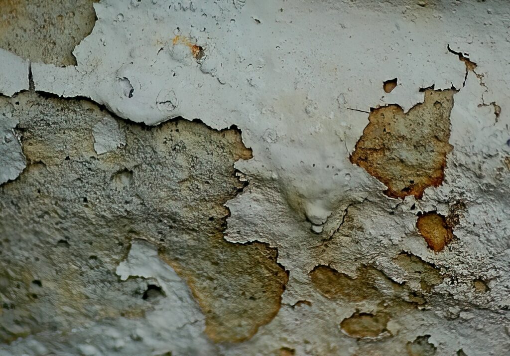 Techniques for Building a Basement That Is Resistant to Moisture and Mold