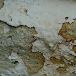 Techniques for Building a Basement That Is Resistant to Moisture and Mold