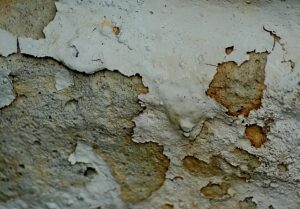 Techniques for Building a Basement That Is Resistant to Moisture and Mold