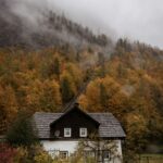 How to Keep Your Landscaping in Good Condition and Resolve Drainage Issues That Can Cause Damage to Your Foundation