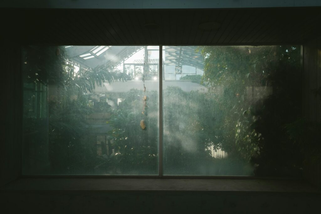Addressing the Issues of Dampness and Mold in Environments with High Humidity