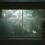 Addressing the Issues of Dampness and Mold in Environments with High Humidity