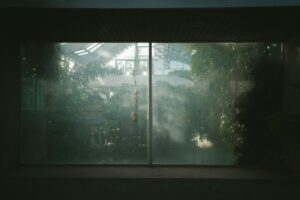 Addressing the Issues of Dampness and Mold in Environments with High Humidity