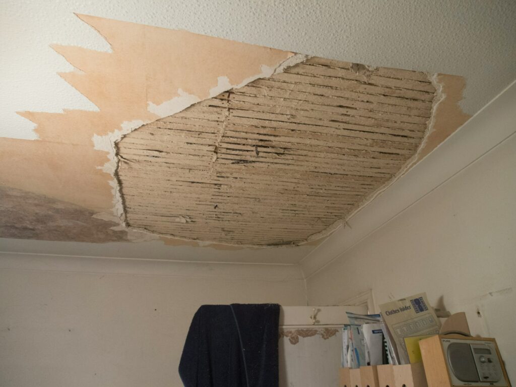 To what extent should you check your home for damage on a regular basis?