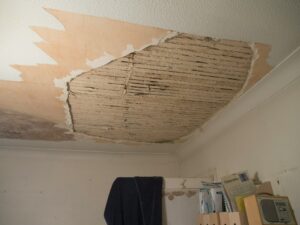 To what extent should you check your home for damage on a regular basis?