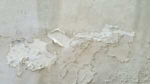 How to Repair Peeling Paint on Walls and Ceilings