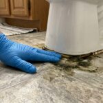 How to Fix a Sinking or Spongy Subfloor Spot Exclusively Around Your Toilet Base