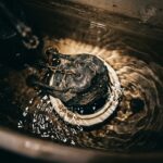 How to Fix “Ghost Flushing” When Your Toilet Runs Randomly in the Middle of the Night
