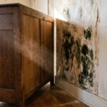 Diagnosing the Hidden Musty Smell Behind Furniture on Exterior Facing Walls