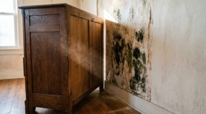 Diagnosing the Hidden Musty Smell Behind Furniture on Exterior Facing Walls
